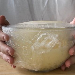 Una persona tiene in mano una ciotola ricoperta di pellicola trasparente.