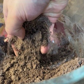 Una persona tiene in mano un mucchio di terra.