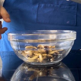 Una persona con un grembiule blu tiene in mano una ciotola di funghi