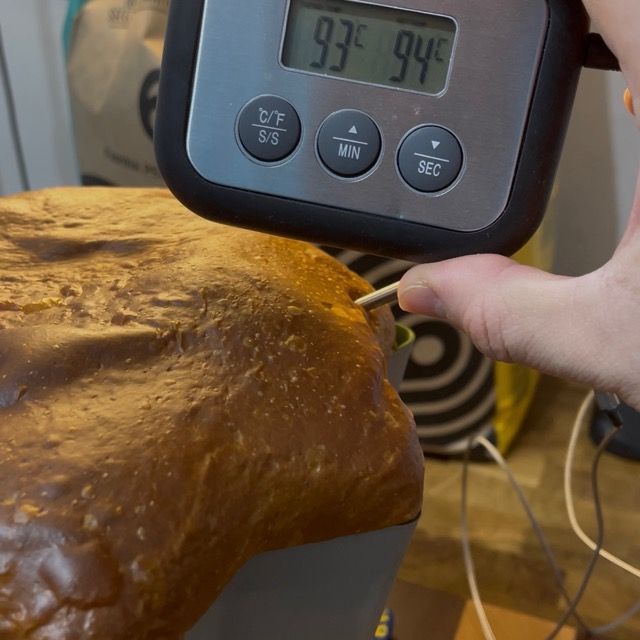 Pandoro che cuoce e sviluppa la cupola in forno statico.