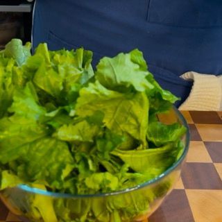 Insalata invernale di finocchi