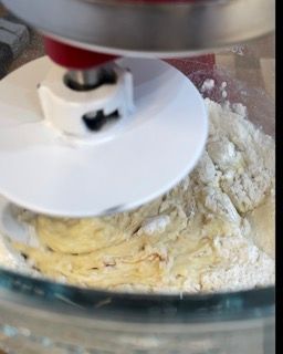 Gancio che lavora l'impasto iniziale fino a renderlo sodo e compatto.