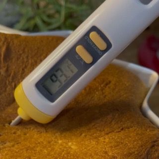 Un termometro digitale mostra una temperatura di 93,0