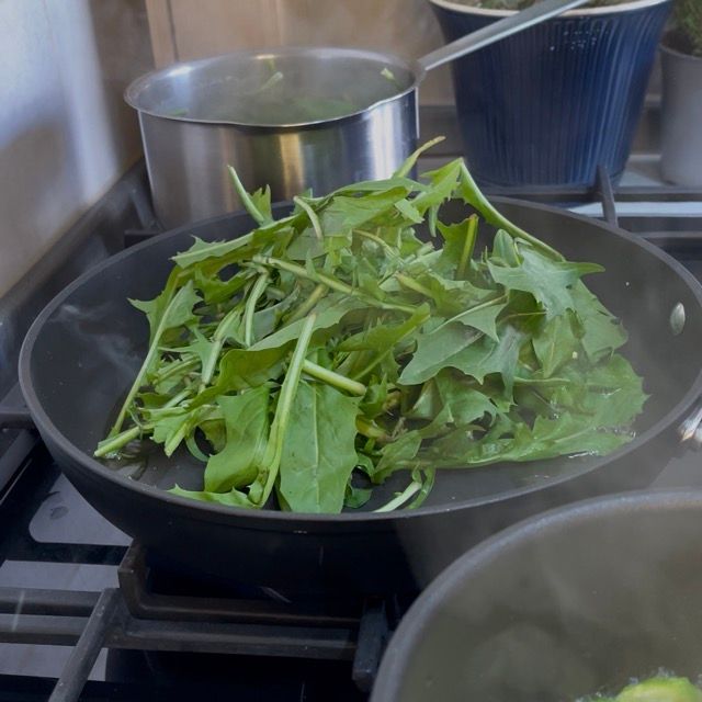 cicoria saltata in padella