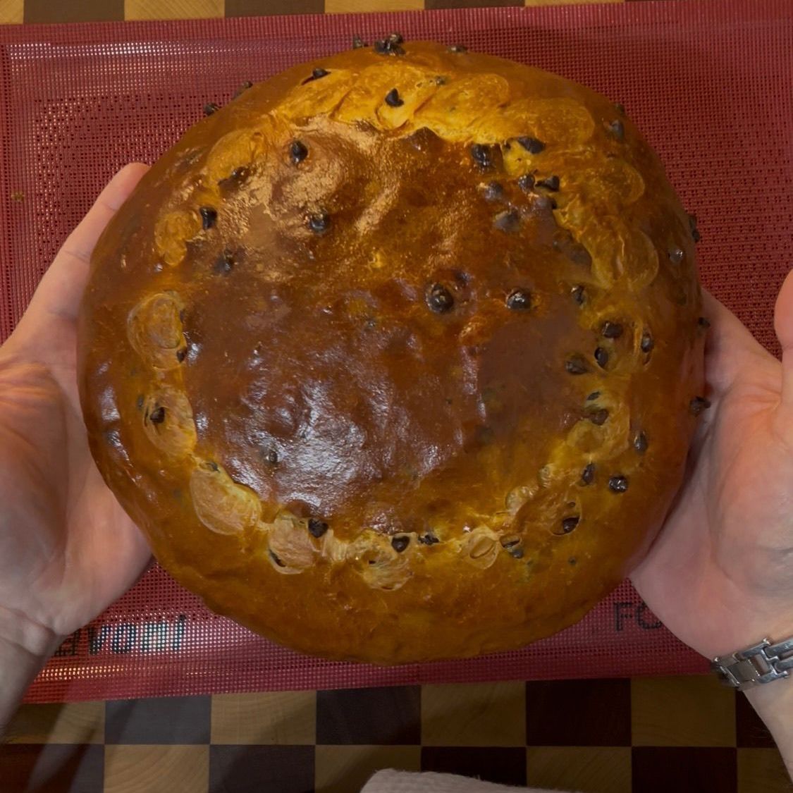 Una persona tiene in mano una pagnotta di pane con gocce di cioccolato.