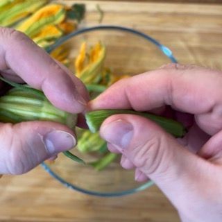 Fiori di zucca in pastella