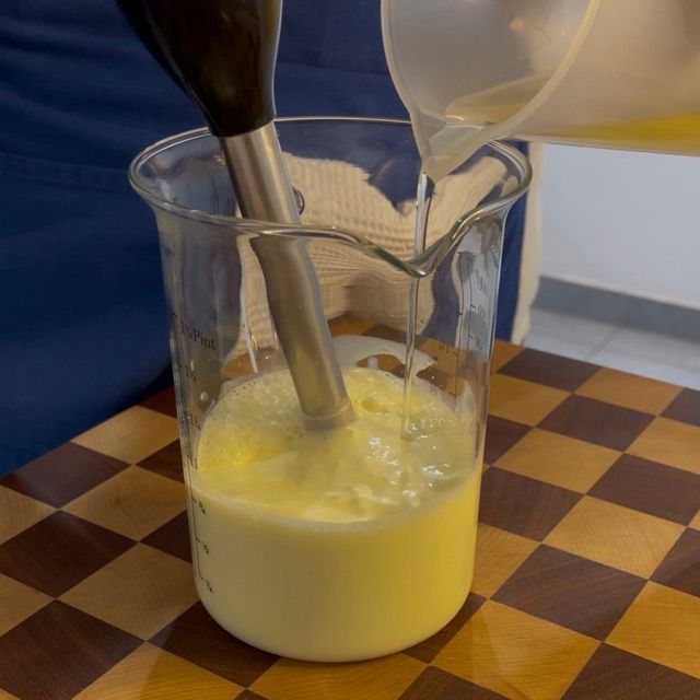 preparazione maionese gastronomica