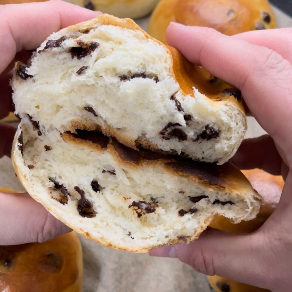 panini con gocce di cioccolato, pan goccioli su una teglia