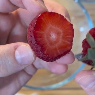 Pavlova alle fragole