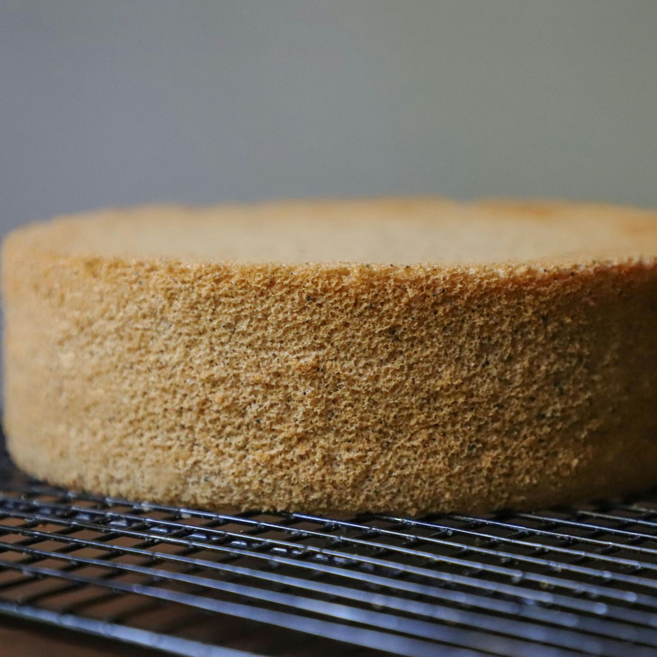 Una torta con la scritta le tecniche di base sopra