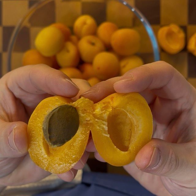 torta al cioccolato vegana