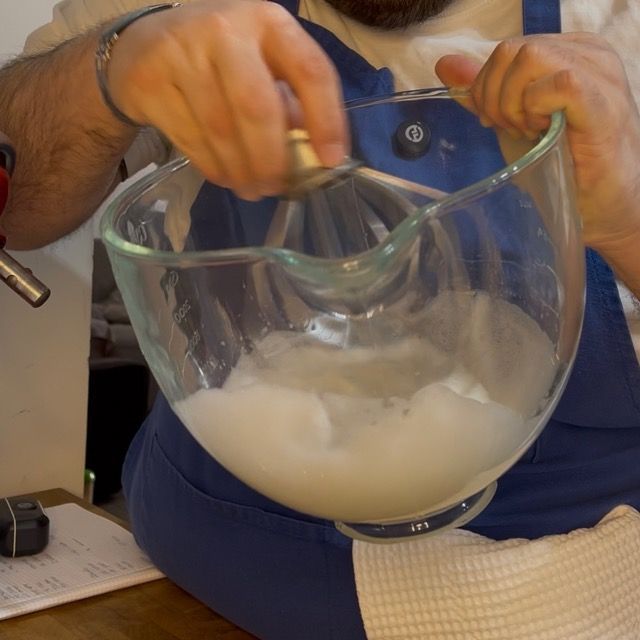 Albumi in planetaria che iniziano a schiumare.