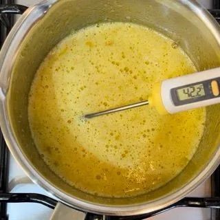 pan di spagna per zuccotto semifreddo