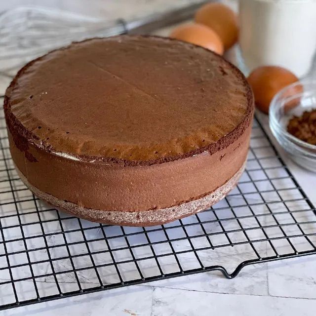 pan di spagna al cacao per zuccotto semifreddo