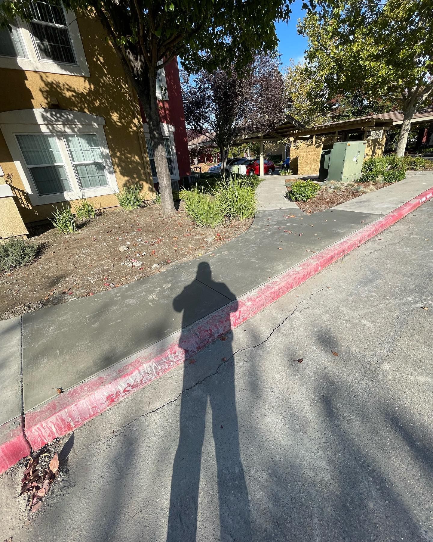 A long shadow of a person stands on a paved path next to a building with a red-painted curb on a sunny day.