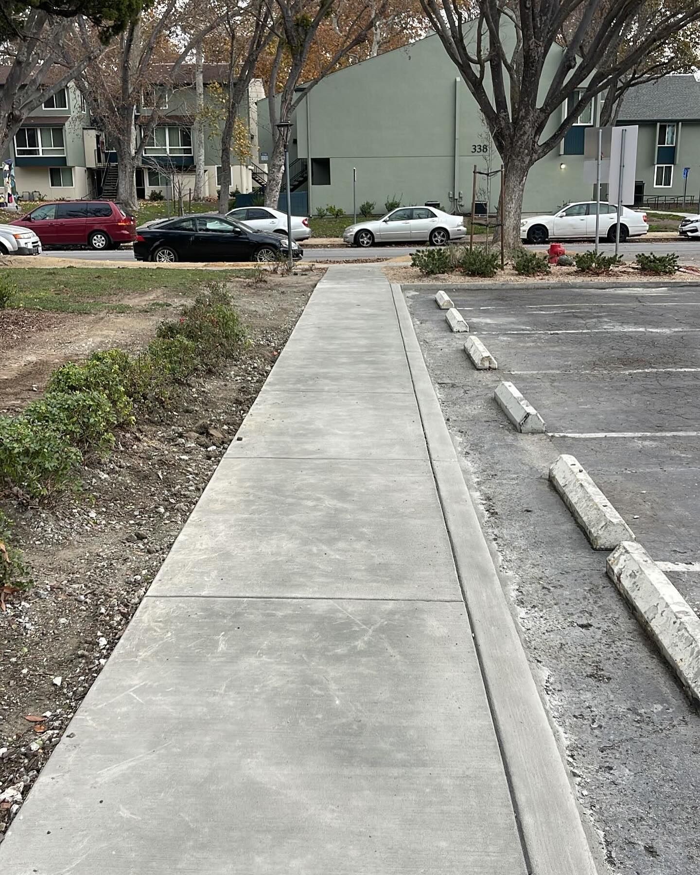 A concrete sidewalk runs between a patch of trees and a parking lot with concrete wheel stops.