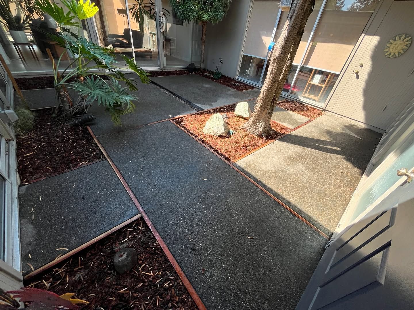 A concrete courtyard pathway framed by brown mulch borders, featuring a tree, a large leafy plant, and a metal door.