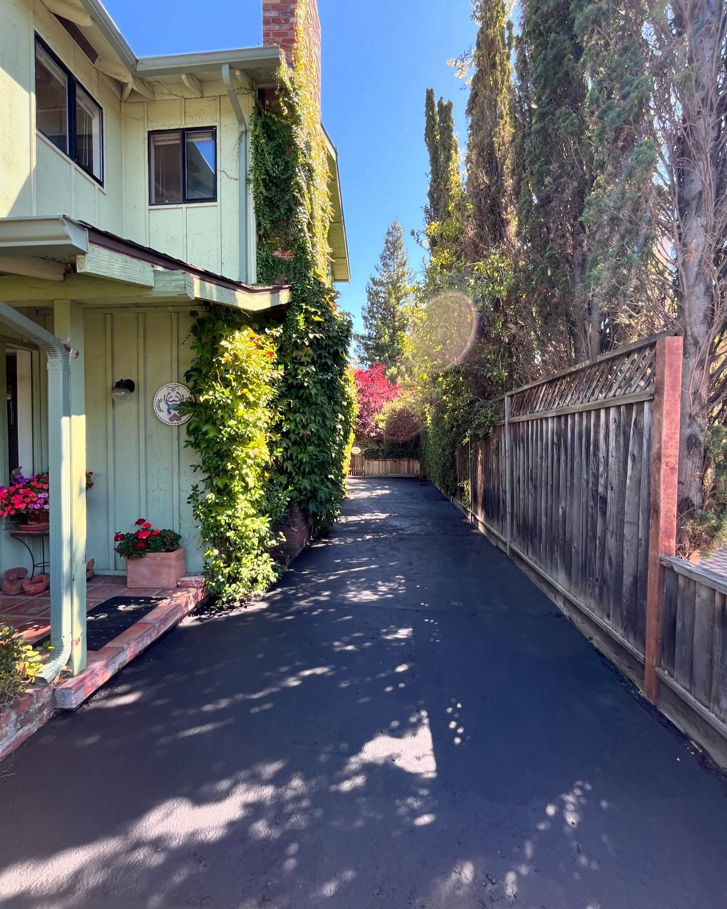 A paved driveway leads toward a light green house covered in climbing ivy, bordered by a wooden fence and tall trees.