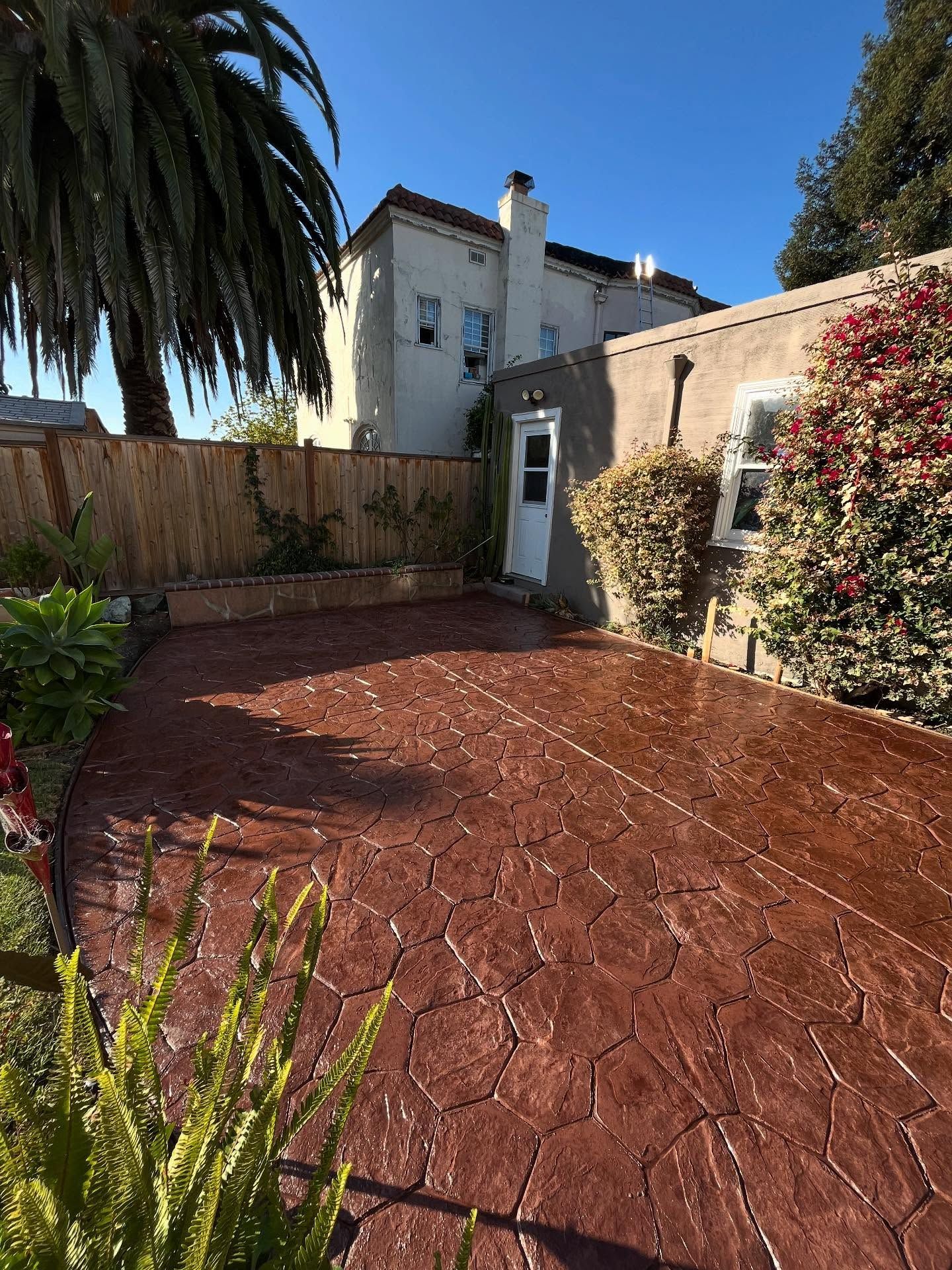 A red, stamped concrete patio in a backyard with a wooden fence, a white building, and a tall palm tree.