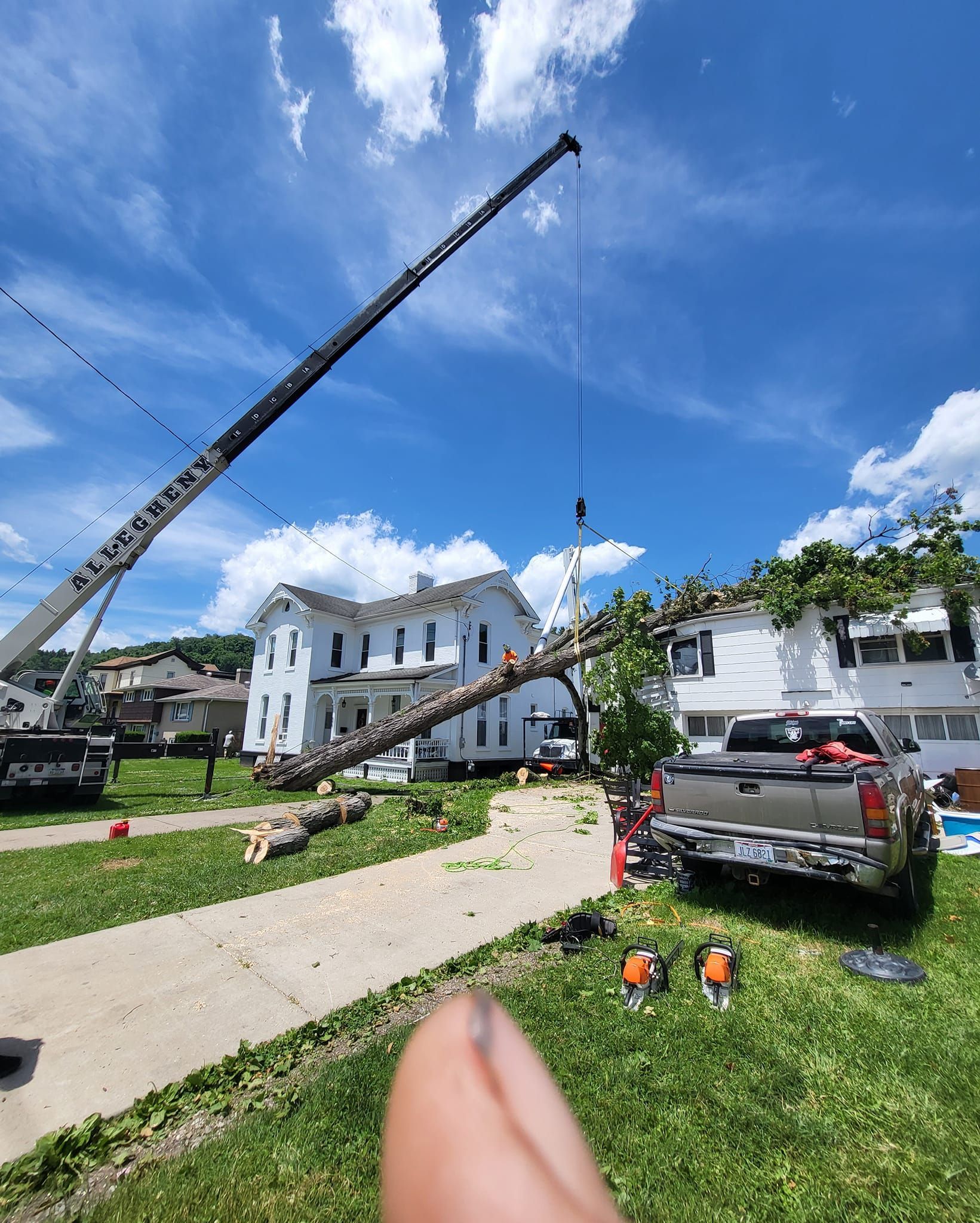 AA Tree Works | Services | Ohio