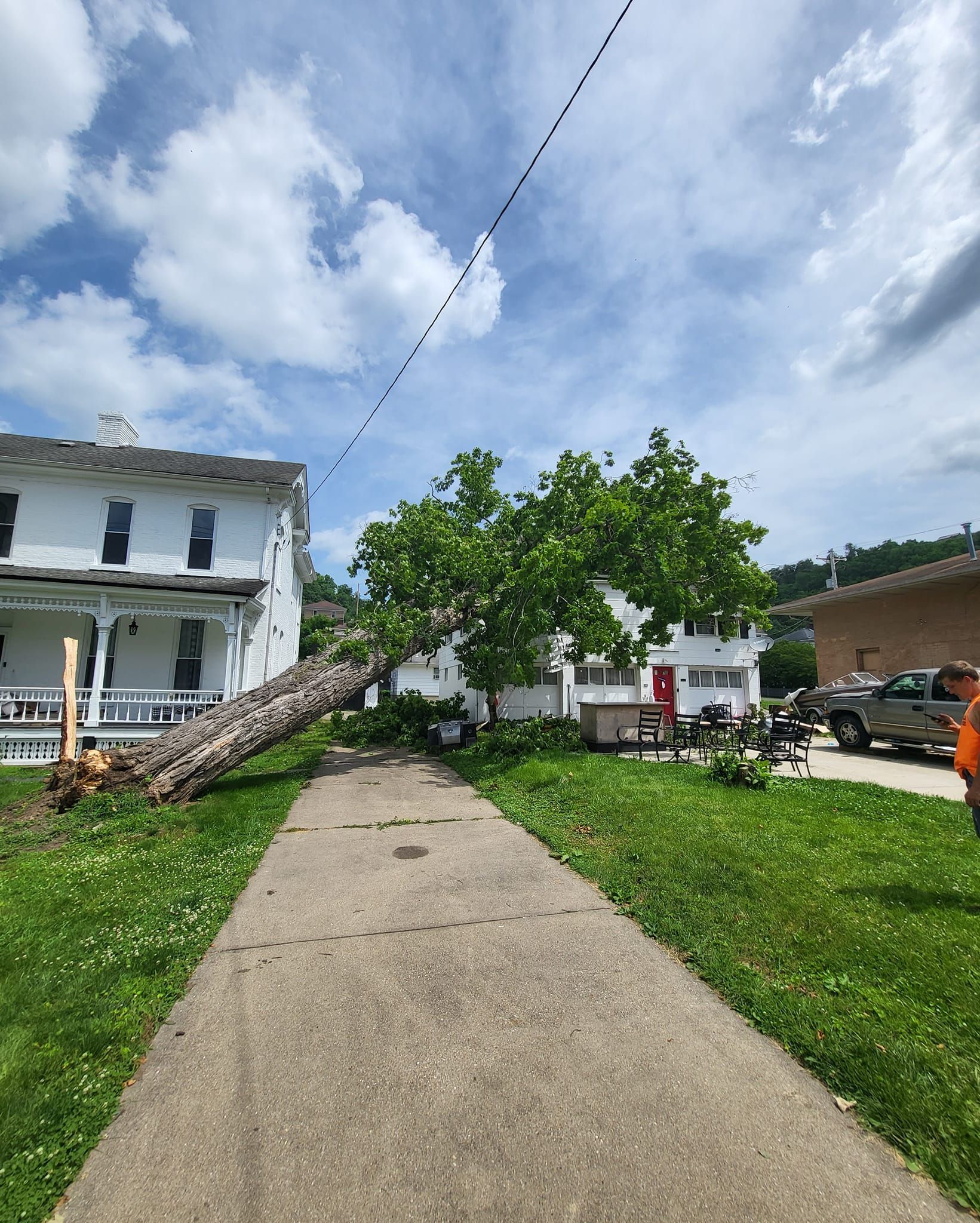 AA Tree Works | Services | Ohio