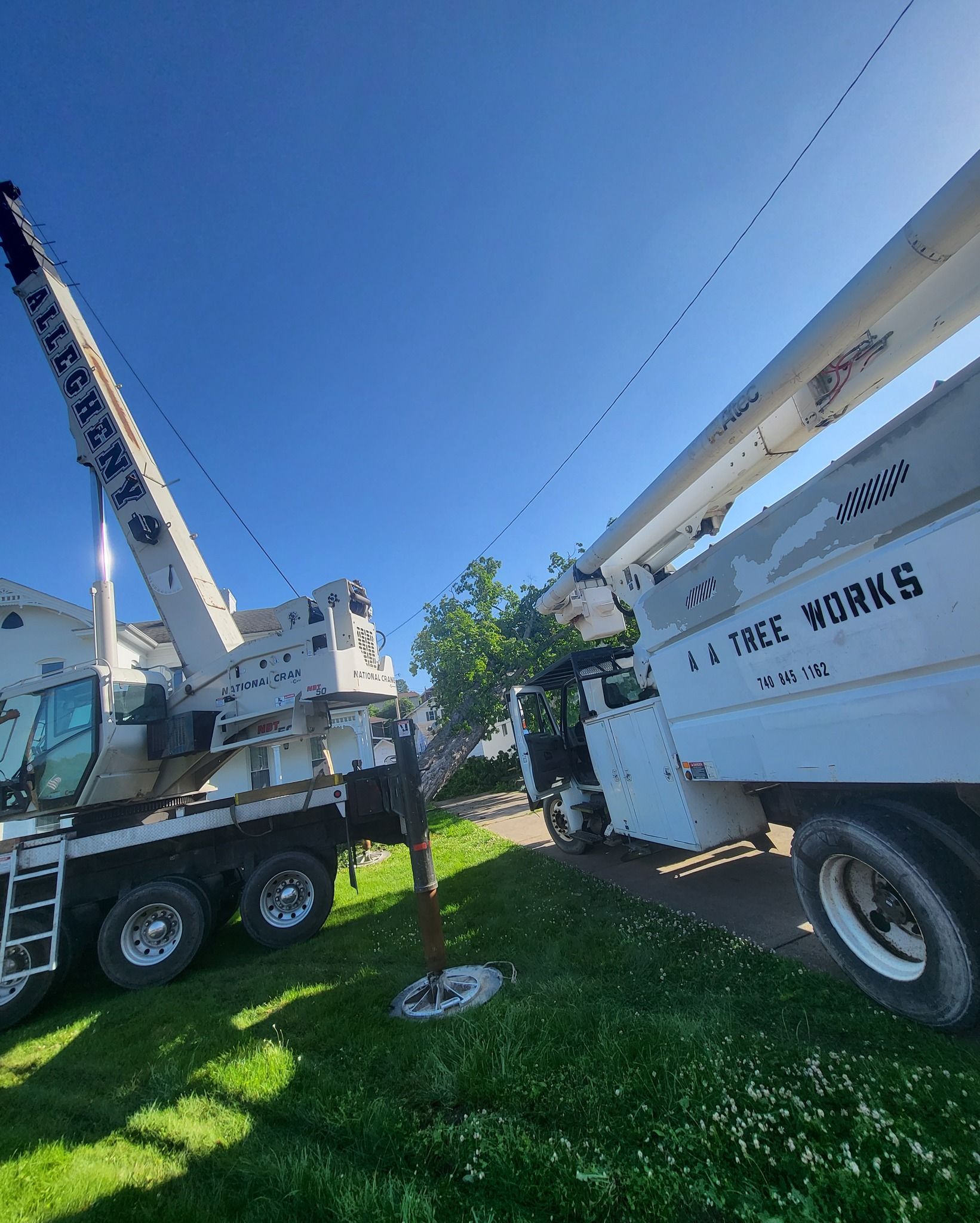 AA Tree Works | Services | Ohio