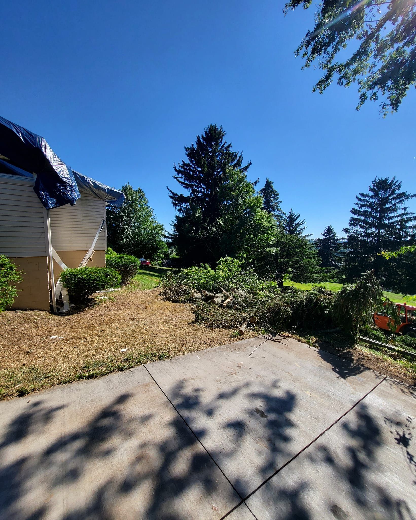 AA Tree Works | Services | Ohio