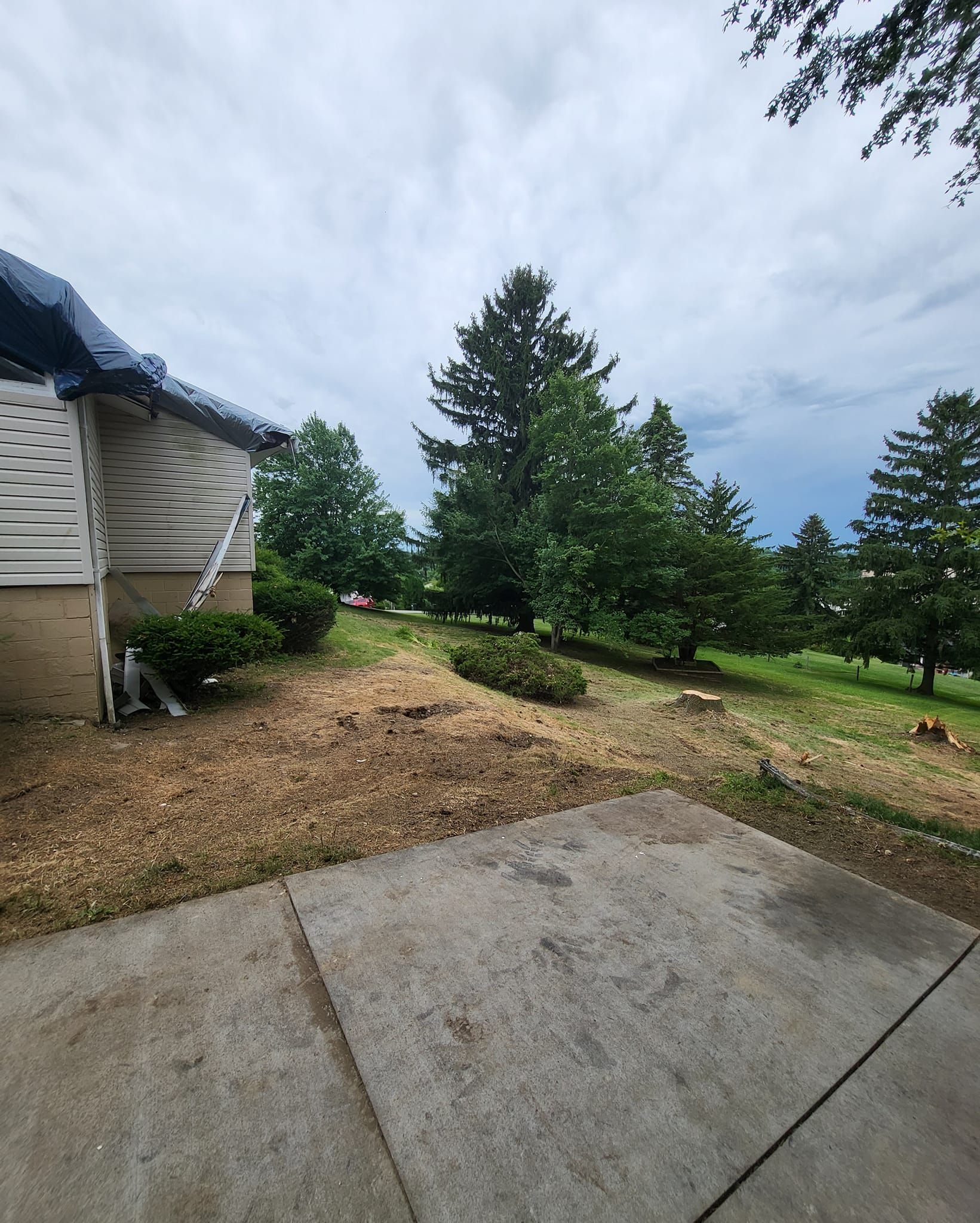 AA Tree Works | Services | Ohio