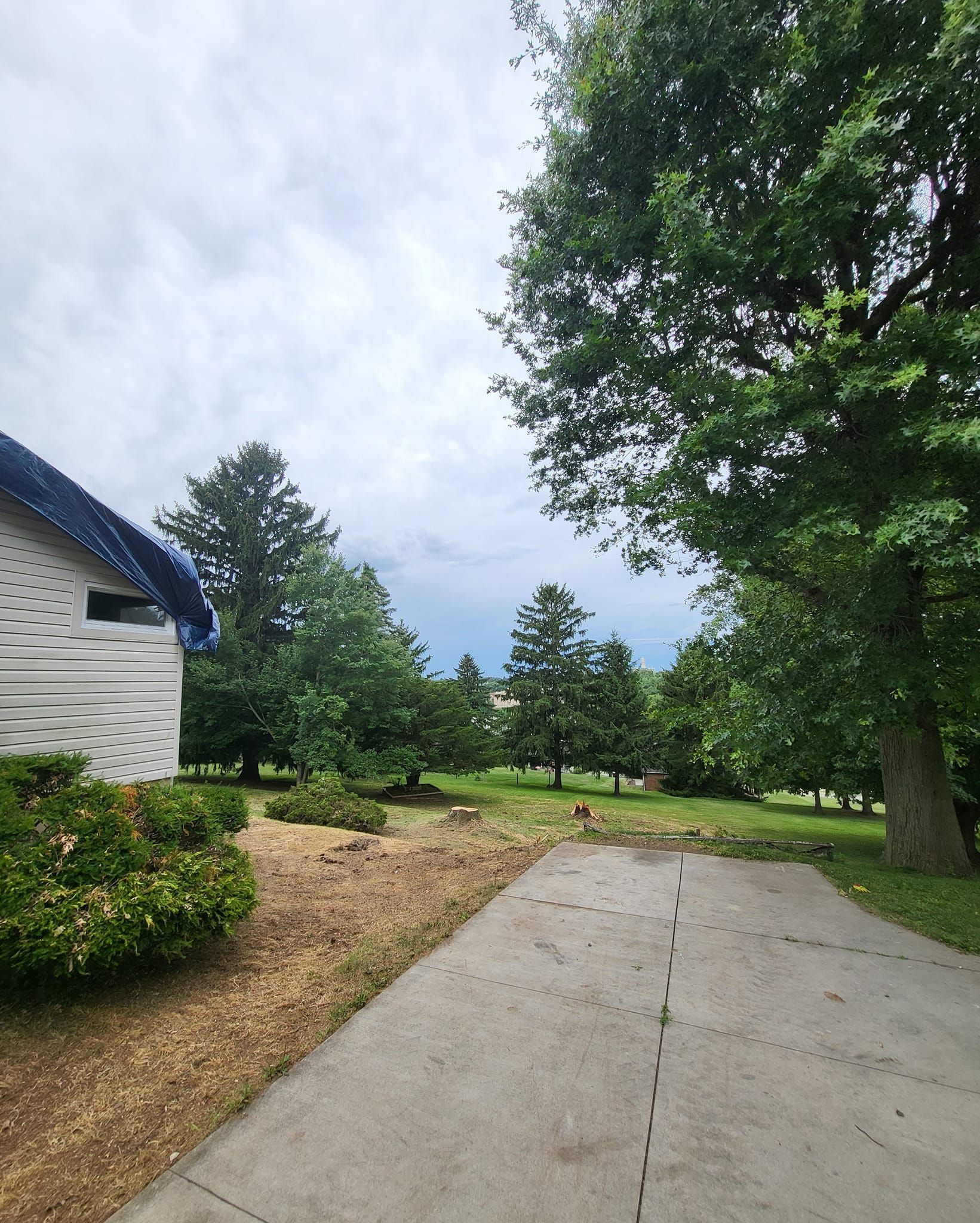 AA Tree Works | Services | Ohio