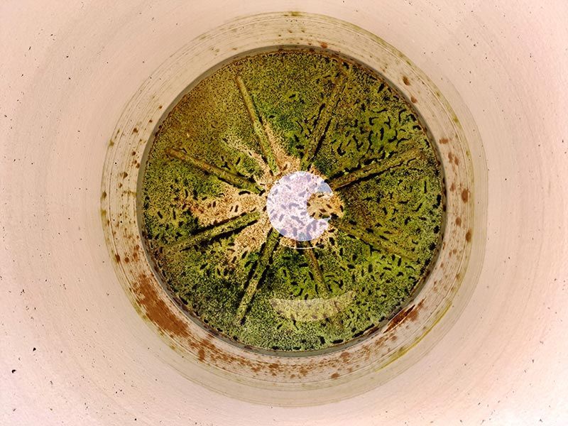 LAVA CISTERNAS ARIES