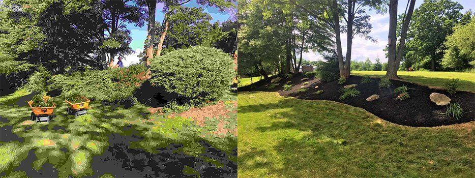 Before And After Landscaped Tree Plants — Beaver County, PA — McCreary's Lawn Care