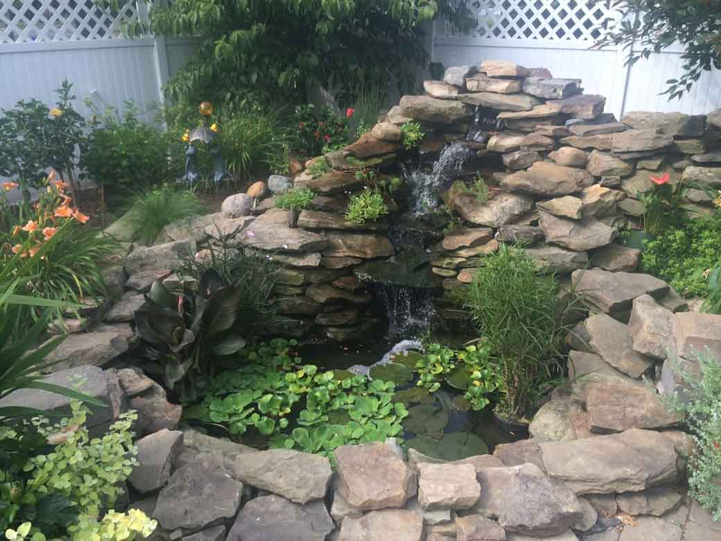 Water Feature Close Up With Green Plants — Beaver County, PA — McCreary's Lawn Care