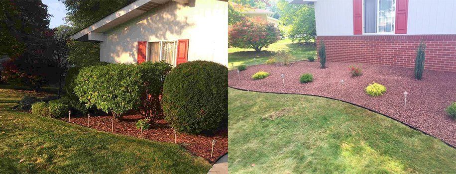 Before And After Shrub And Mulch — Beaver County, PA — McCreary's Lawn Care