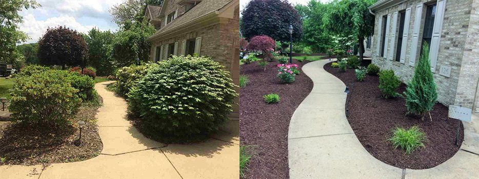 Before And After Bush And Mulsh — Beaver County, PA — McCreary's Lawn Care