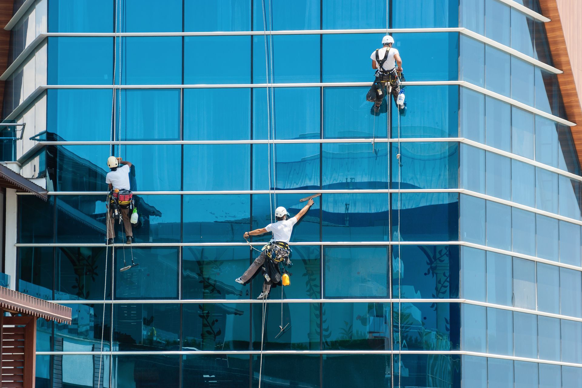Cleaning the windows of a tall building.