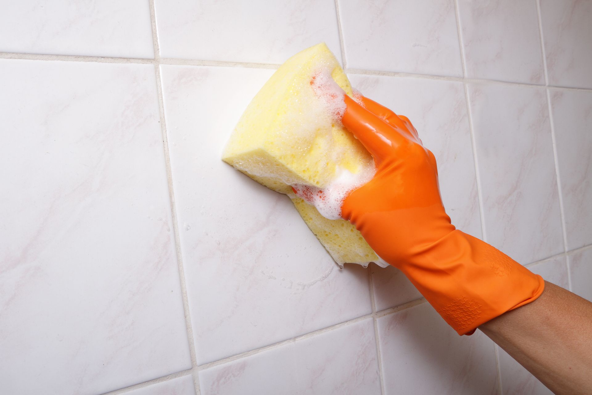 Tile cleaning.