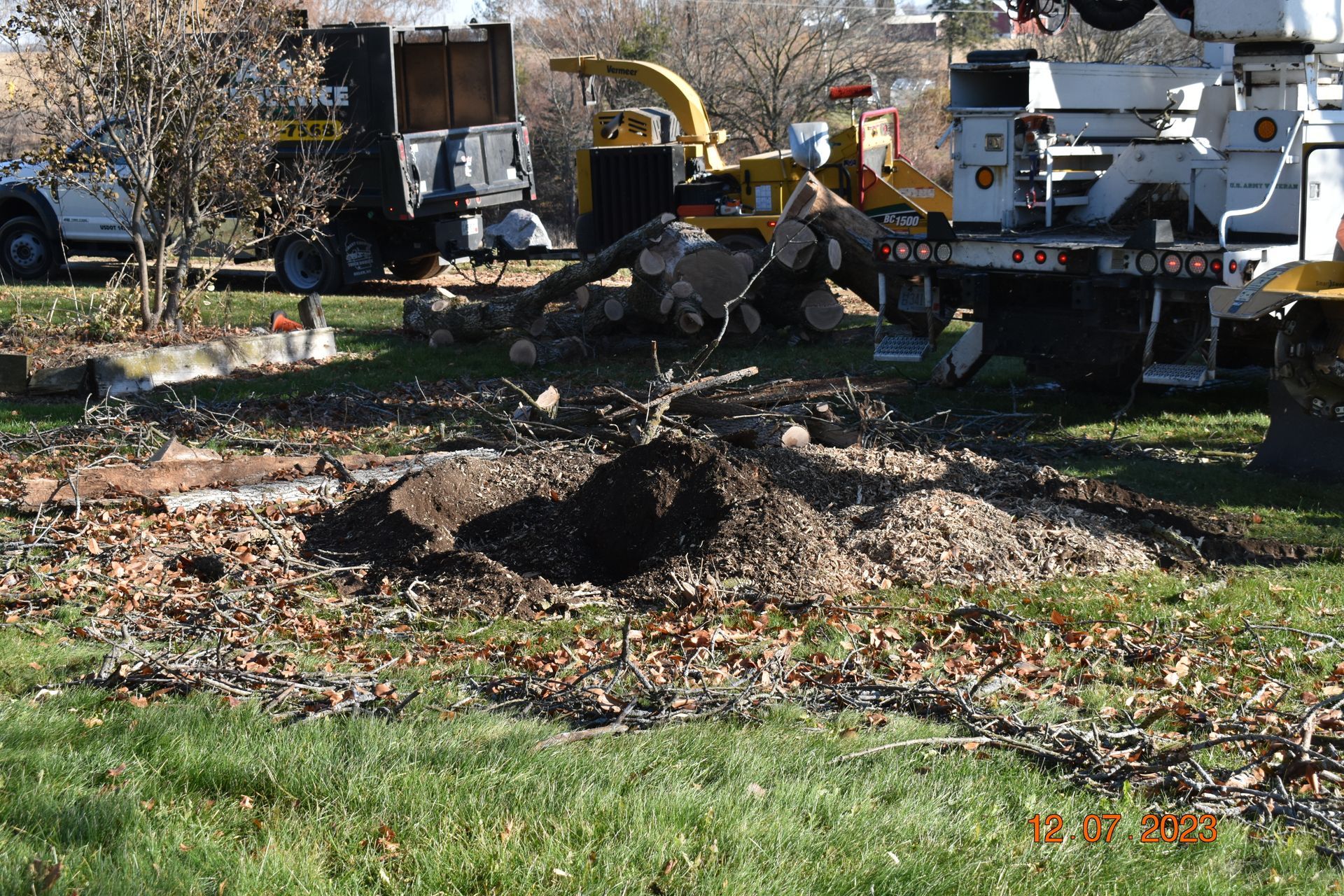 Stump Removal After| Madison, WI | A1 Tree Service