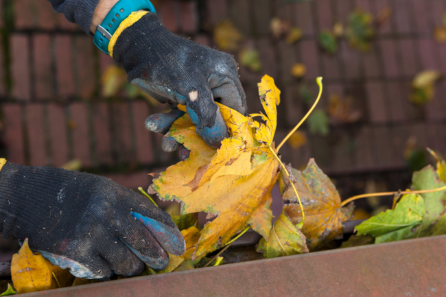 gutter cleaning in louisville ky