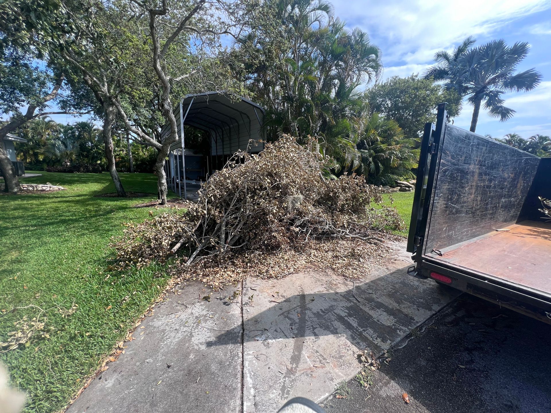 Storm Clean up