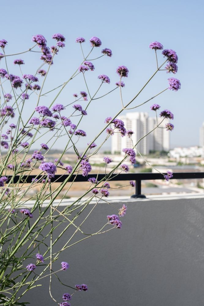 המרפסת בדופלקס במודיעין
טל גלעד – סטודיו בוטיק לתכנון, עיצוב ואדריכלות פנים המתמחה בתכנון ועיצוב כולל ומערכתי לבתים 
 פרטיים, דירות ועסקים