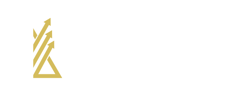 it is a logo for anid chartered accountants