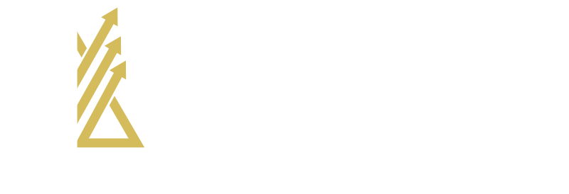 a logo for a company called anid chartered accountants