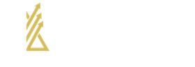 a logo for a company called anid chartered accountants