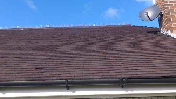 Roof cleaning Knutsford and High Legh