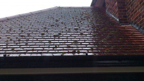roof cleaning Wimslow