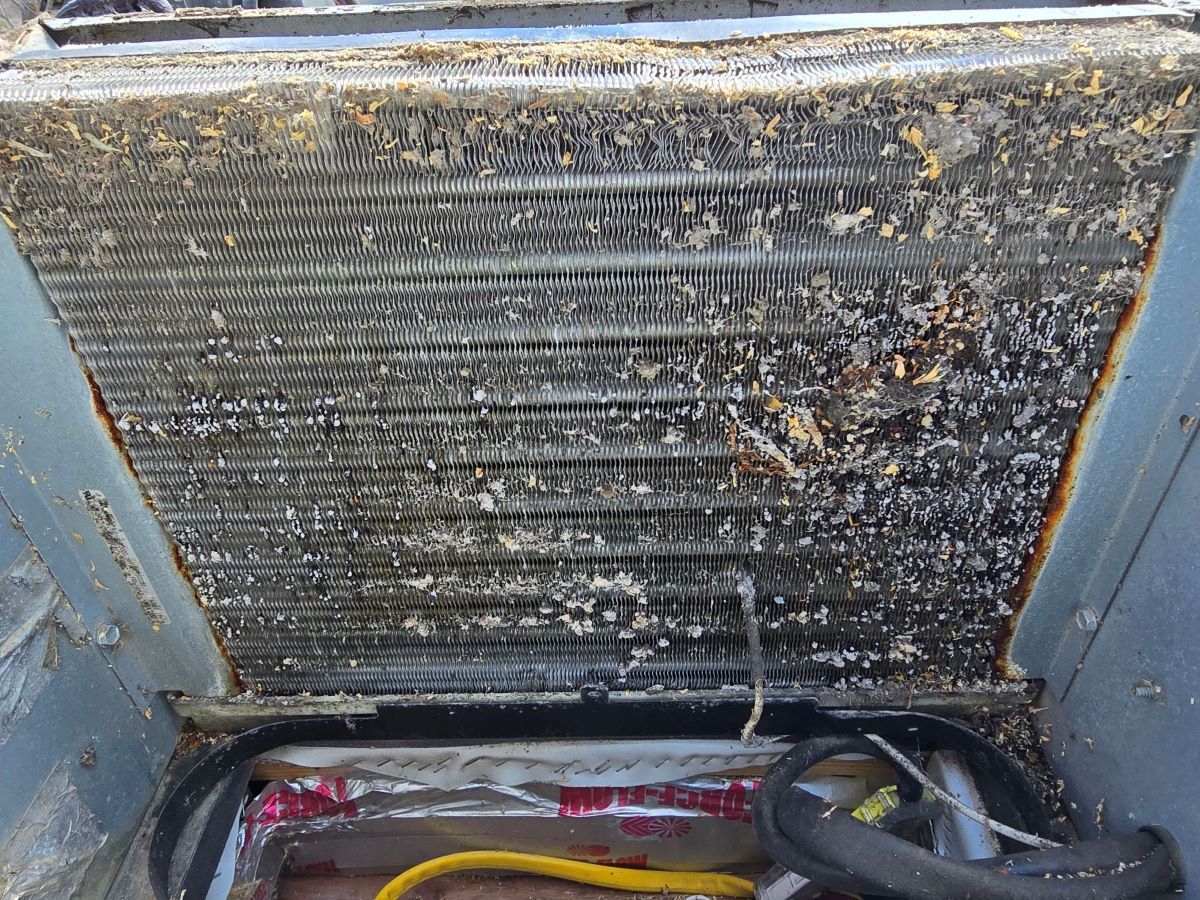 The inside of a dirty refrigerator with a hose attached to it.