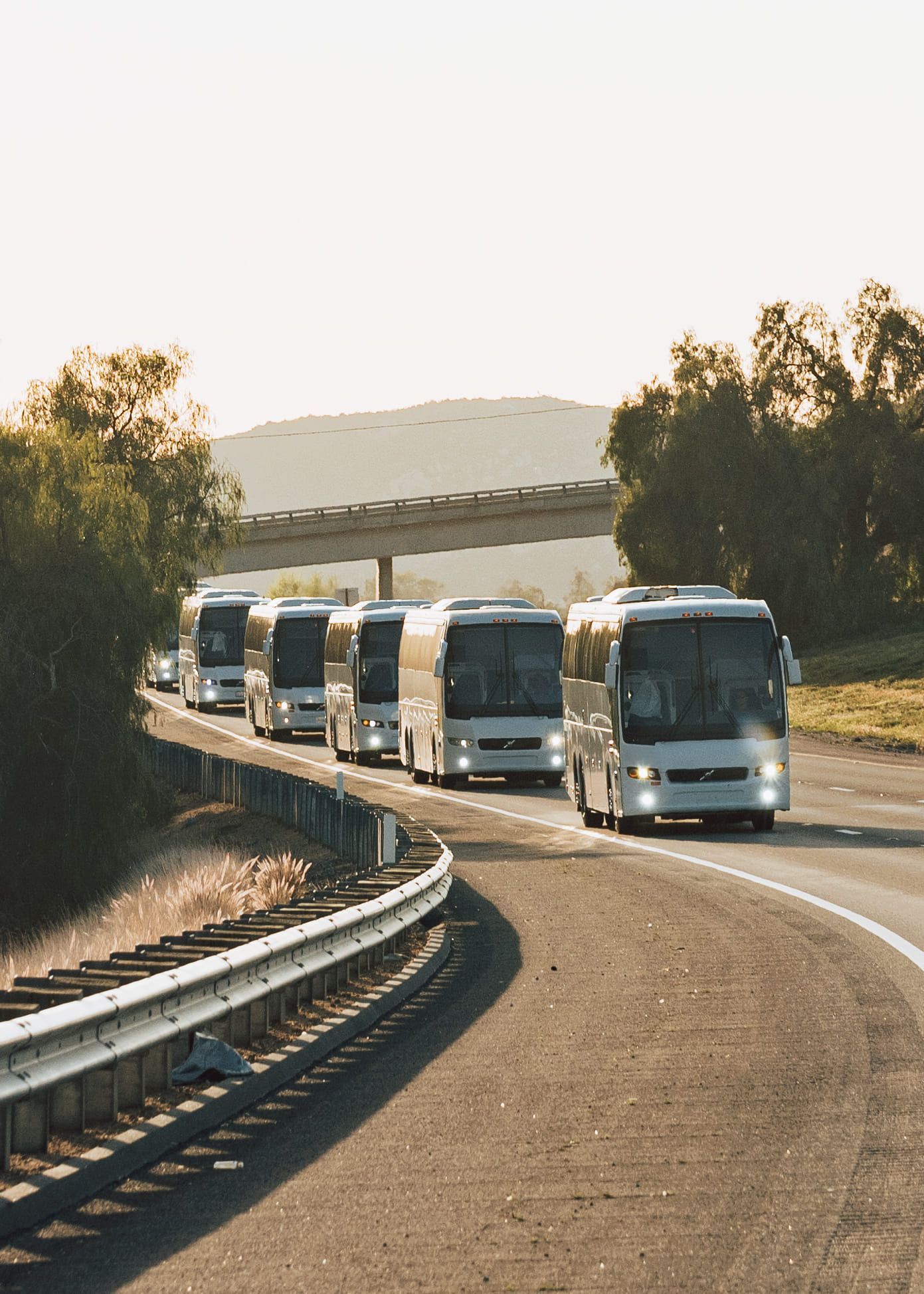 San Diego charter buses driving to a destination wedding event

