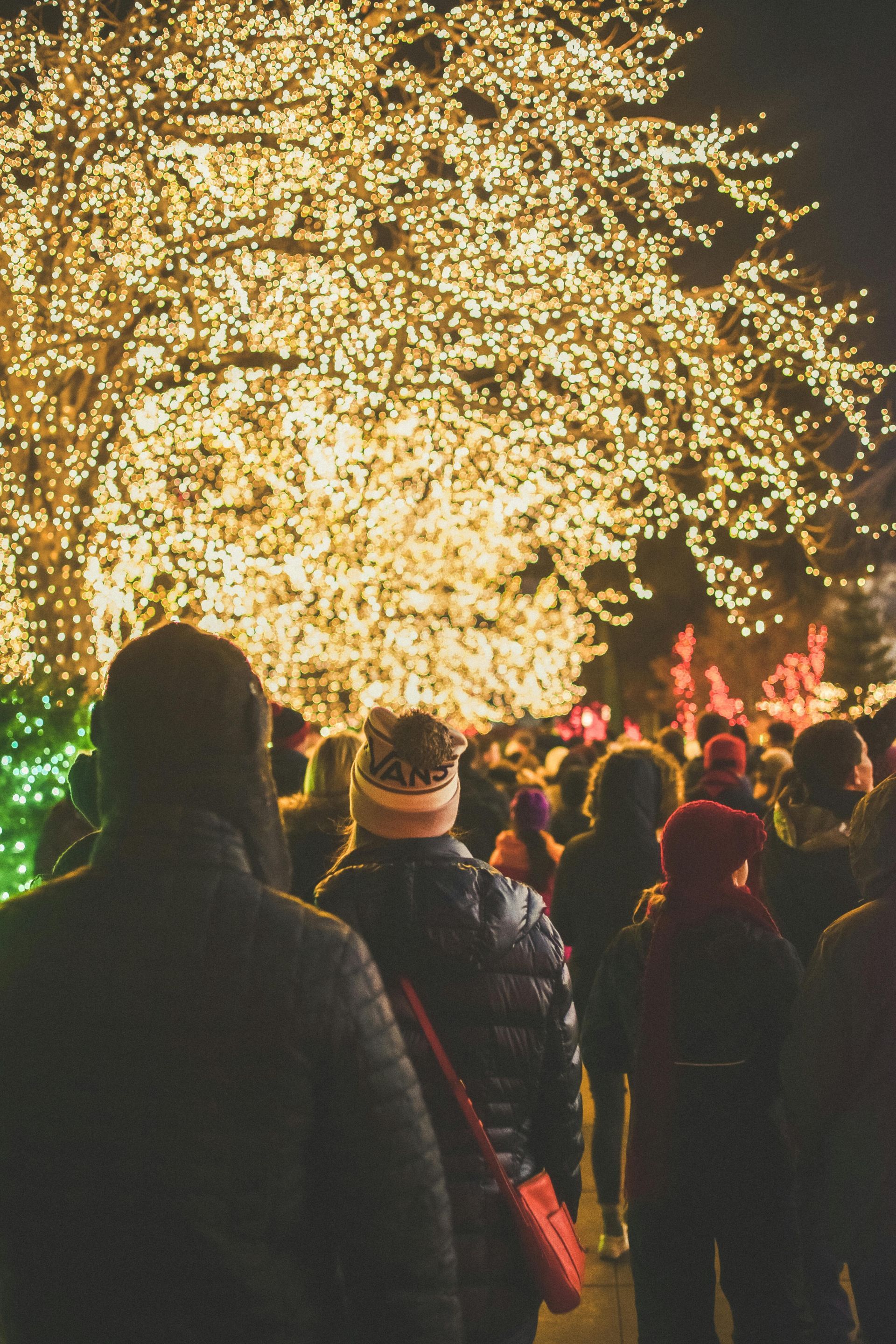 Group enjoying holiday light displays during a San Diego charter bus outing