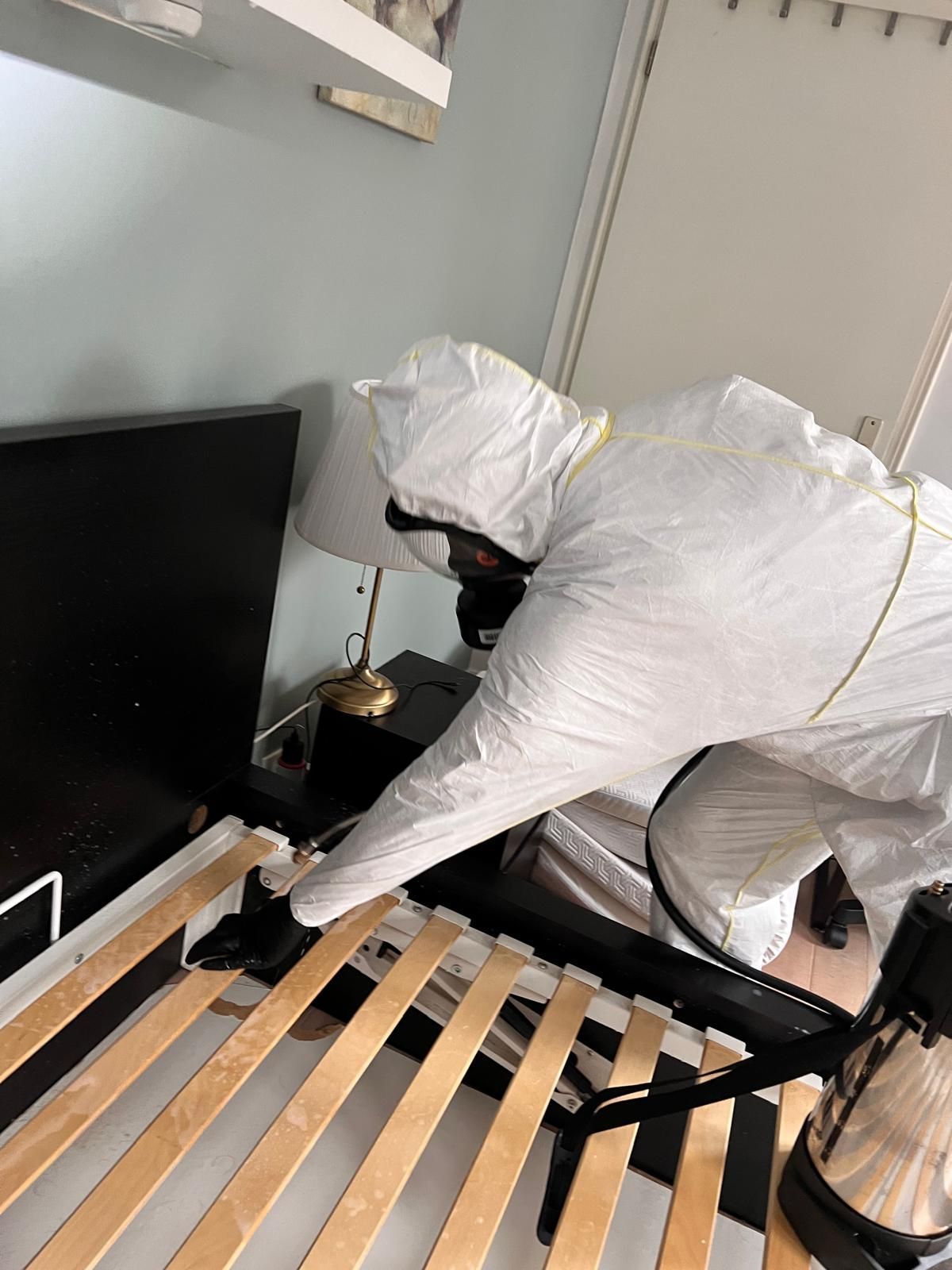Traitement chimique contre les punaises de lit