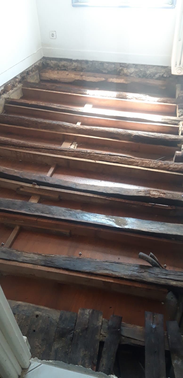 Plancher en bois infesté de vrillettes dans l'Eure